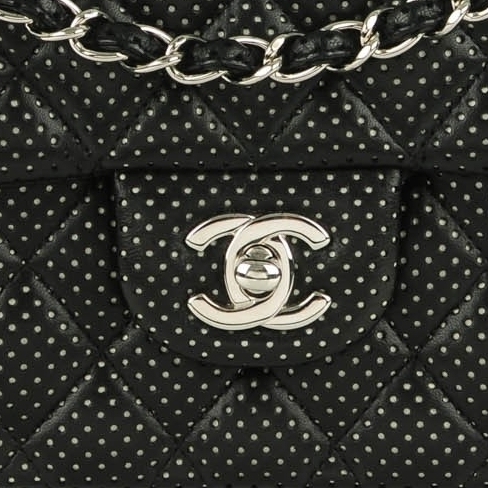 Photo (5) of CHANEL Lambskin Perforated East West Flap Bag